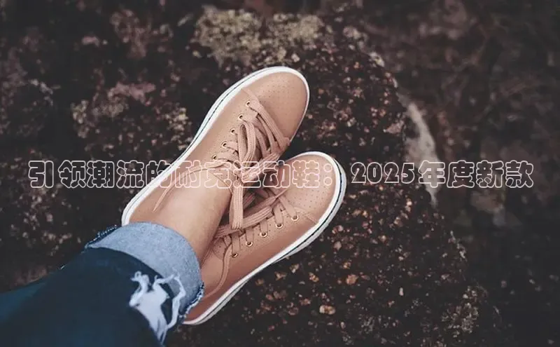 XCSport网页版入口