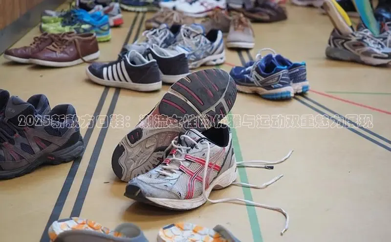 XCSport网页版入口