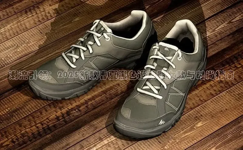 XCSport网页版入口