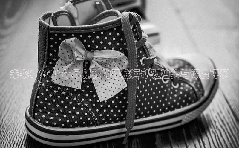 XCSport网页版入口