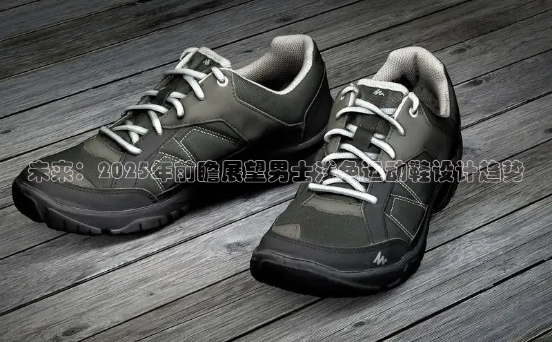 XCSport网页版入口