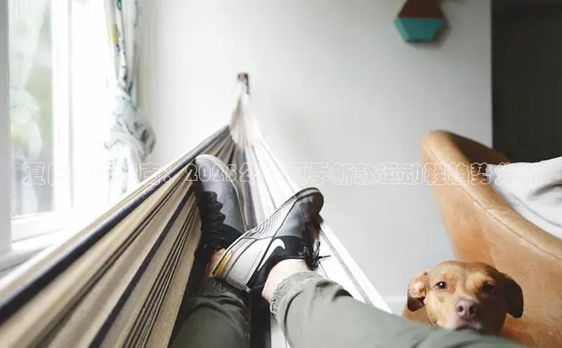 XCSport网页版入口