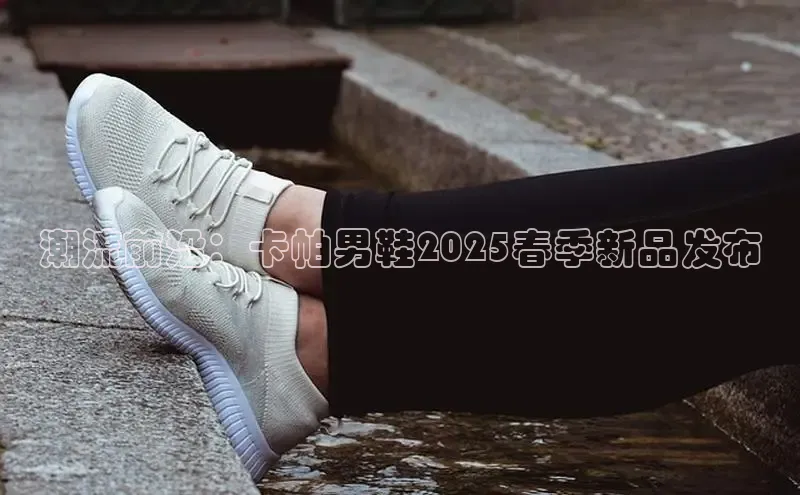 XC网页版入口